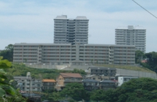 01.11 北側遠景DSCF0289.jpg