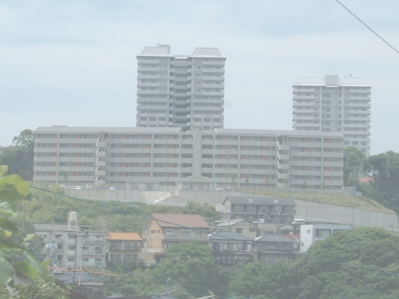 01.11 北側遠景DSCF0289.jpg