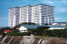 03.13 南西側外観.jpg