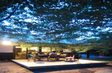 05.DSC_2123 ﾄﾘﾐﾝｸﾞ　ﾄﾞｷｭﾒﾝﾄ小(800×600).jpg